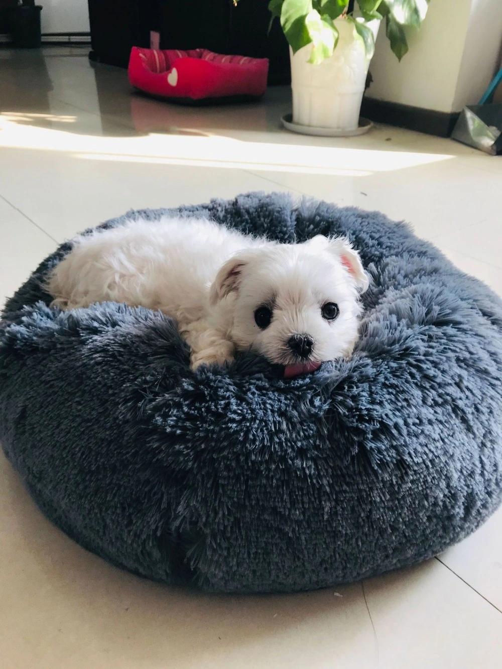 Winter Warm Cat House Soft Sleeping Mats Dog Supplies Pet Bed