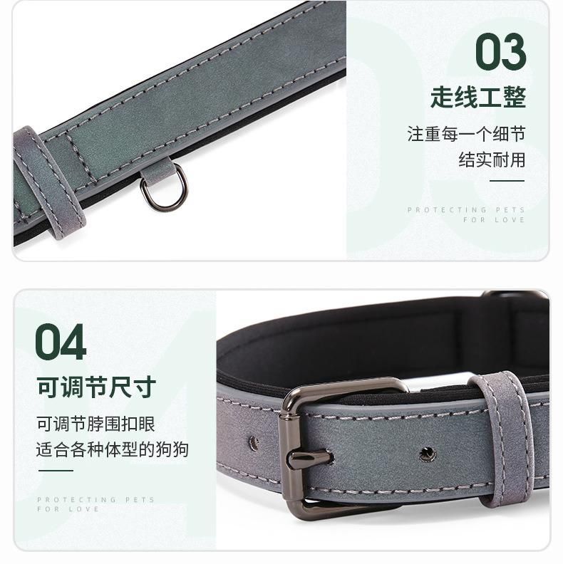 Light Reflective Fashion Collar and Leash for Pet Dog
