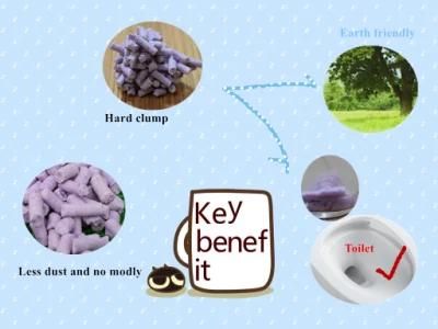 Nature Tofu Cat Litter with Lavender Scent