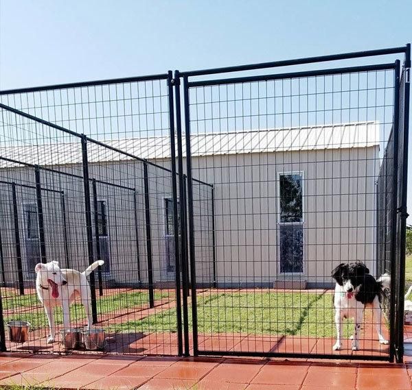 Welded Wire Galvanized Dog Breeding Kennel