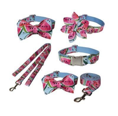Dog Collar Pet Funny Adjustable Collars with Cute Leash for Small Medium Large Dogs Cats Collars Set