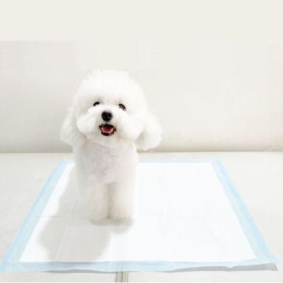 High Absorbent Disposable Pet Training Pads for Puppy