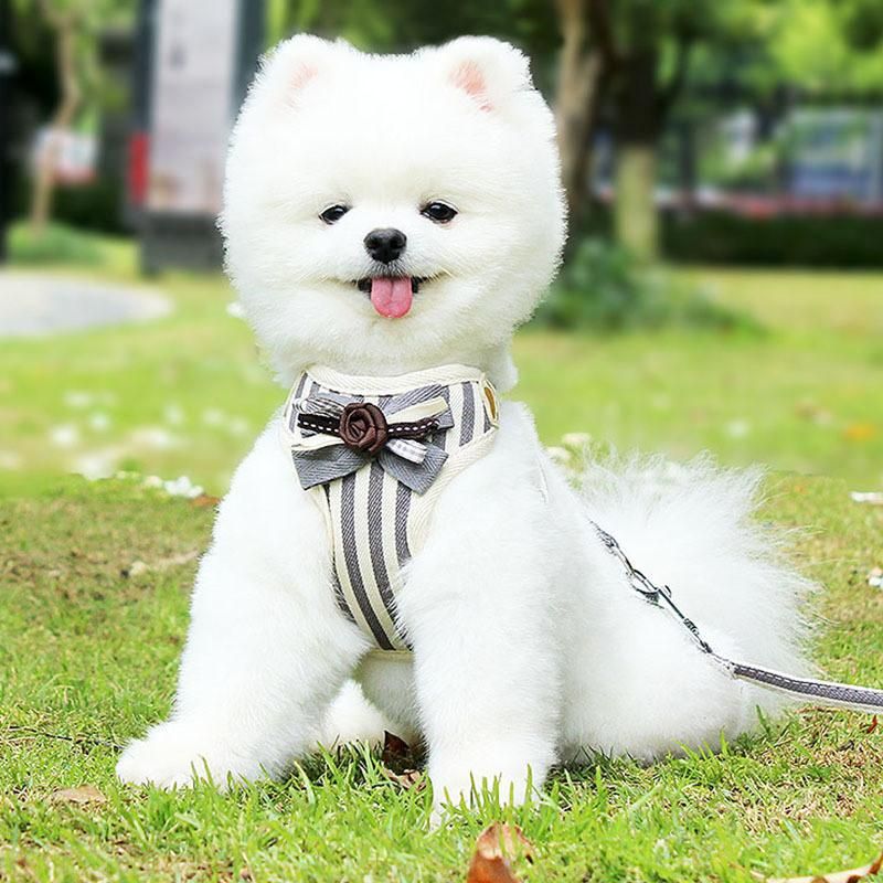 Pet Supplies Wholesale Pet Chest Harness Breathable Striped Dog Harness