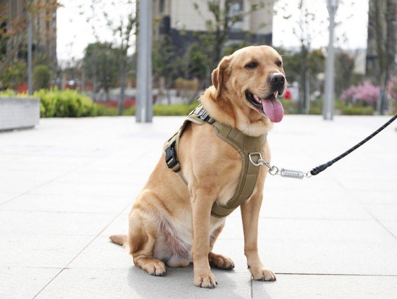 Wholesale Training Dog Harness Adjustable Nylon Vest Clothes Pet Products Leash Pet Service Harness