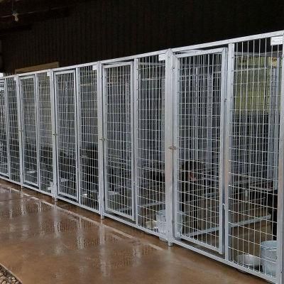 Wholesale Steel Dog Boarding Kennels for Outdoor / Inside.