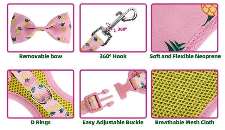 Wholesale Custom Logo All Kinds of Full Sets Breathable Mesh Pet Dog Harness
