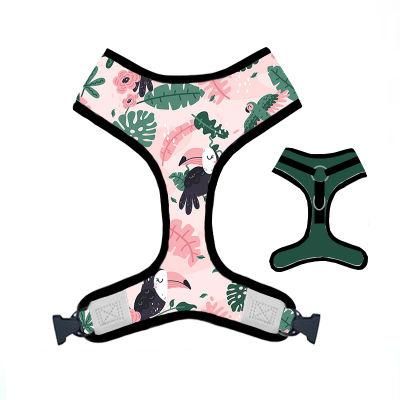 2021 Fashion High Quality Pattern Designs with Rubber Logo Mesh Breathable Dog Vest Eco Friendly Dog Harness and Lead/Coustomized