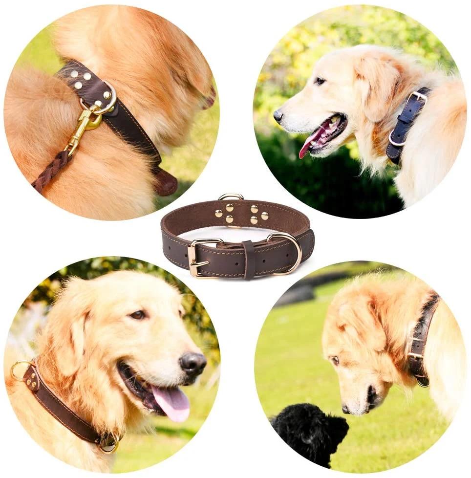 Heavy Duty 350lb Pull Power Leather Dog Collar