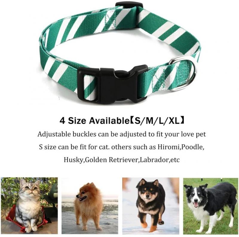 Wizard School Printing Adjustable Collars with Funny Leash for Pets