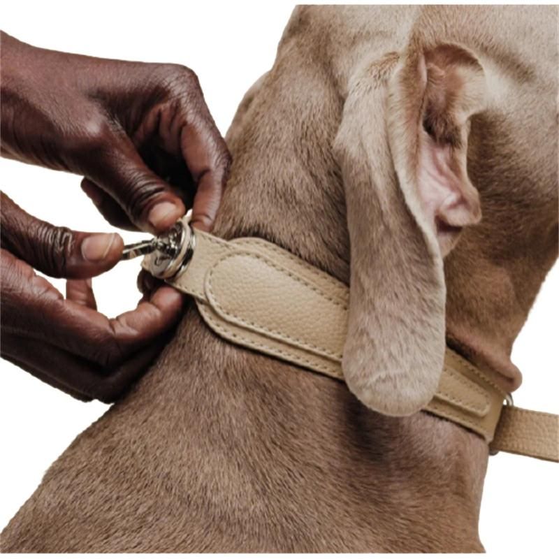 Leather Harness for Huge Shape Dog
