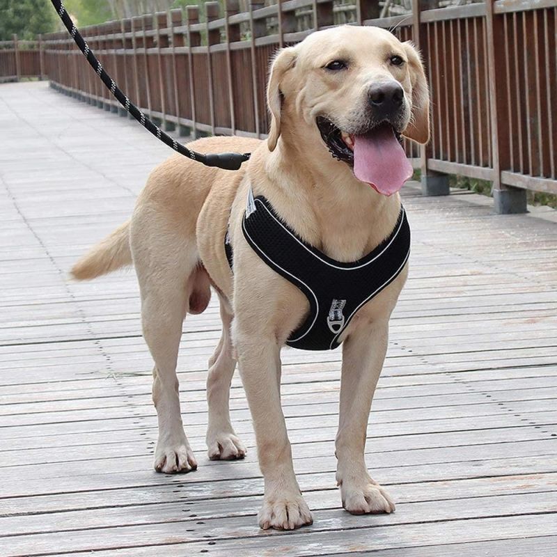 Soft Padded Thicken Air Mesh Dog Harnesses with Handle Leashes