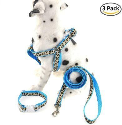 Hot Selling Dog Collar Harness and Leash for Adult Dogs