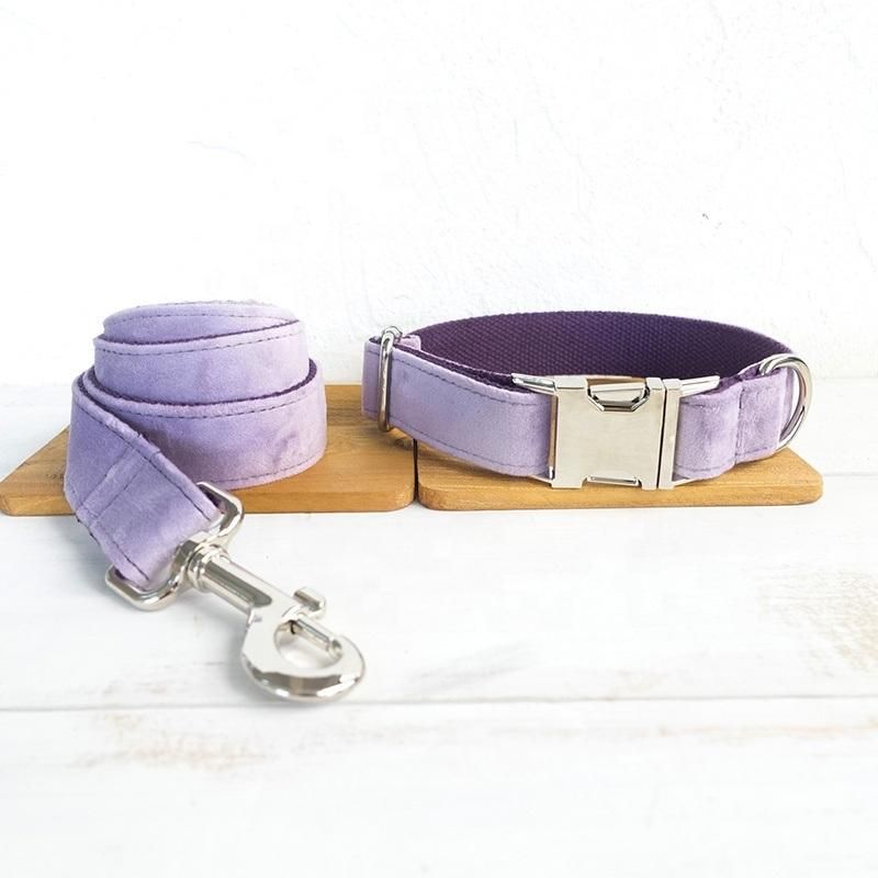 Velvet Dog Collar and Leash Puppy Amazona Soft Cozy Dog Collar Luxury Best Selling Pet Supplies Dropshipping Large Dog Collar