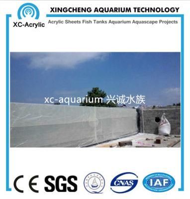 Clear Acrylic Glass Wall Swimming Pool Project