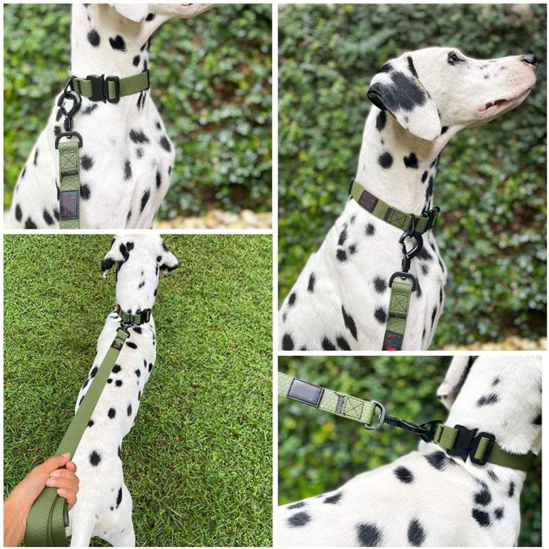 Heavy Duty Water Proof Dog Collar Action Dog Collar