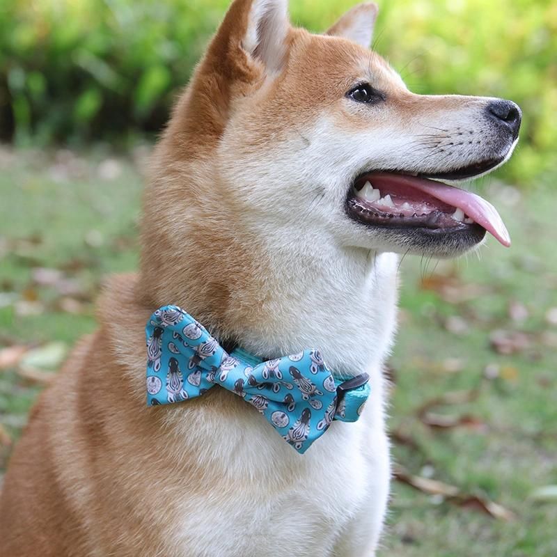 Manufacturer Custom Fashion Adjustable Pet Collar and Leash Harness Pet Accessories