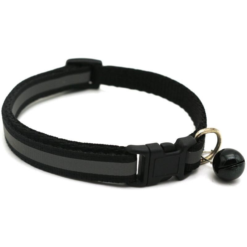 New Design Dog Collar