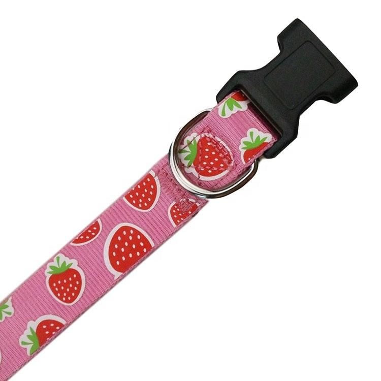 New Design Custom Silkscreen Printed Nylon Pet Dog Collar