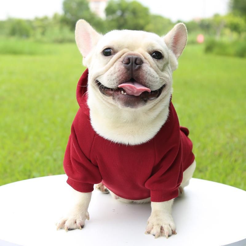 Free Sample in Stock Multi Sizes Spring and Autumn Style Pets Dog Clothes