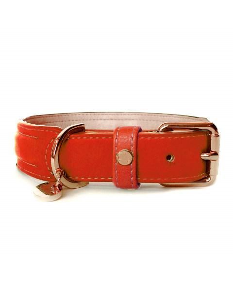 Customized Fashion Design Leather Dog Collar