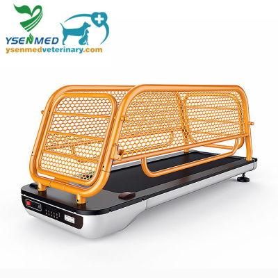 Ysvet-TM602 Treadmill Equipment Treadmill Equipment Pet Running Machine