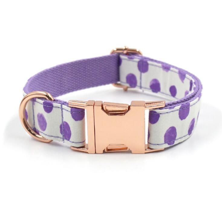 Fast Delivery of Pattern DOT Dog Collar and Leash Set