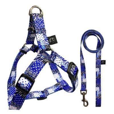 Personalized Pet Dog Leash Harness Set for Pet Animal Daily Walking