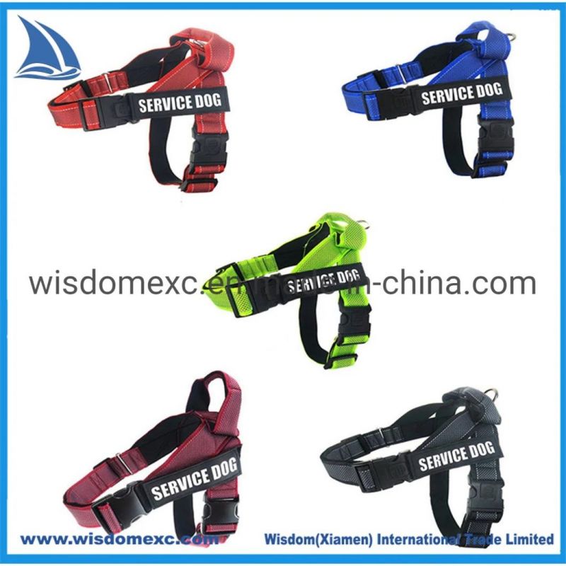 Purple Pet Harness Collar Service Dog Custom Logo for Promotion