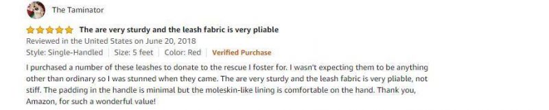 Hot Sell Wholesale Double Handle Padded Dog Leash with High Quality and Cheap Price