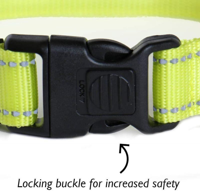 Stylish & Classic Durable Dog Collar