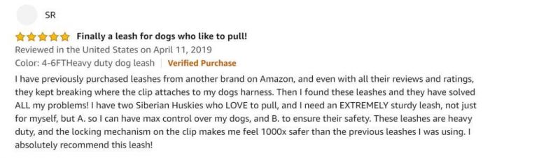 Heavy Duty Dog Leash Especially for Large Dogs up to 150lbs