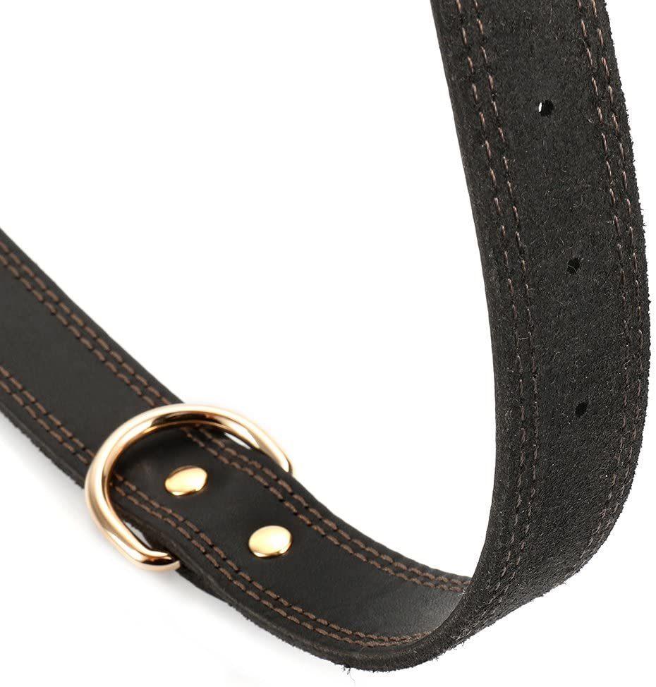 100% Genuine Leather Dog Collar with 4 Colors Option