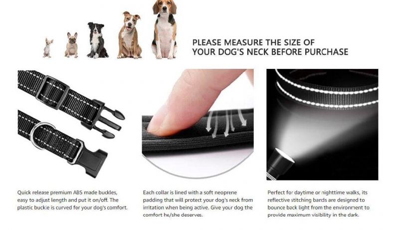 Nylon Dog Collar and Leash Set Soft Handle with Padded