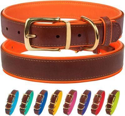 High Quality Leather Dog Collar with Neoprene Padding