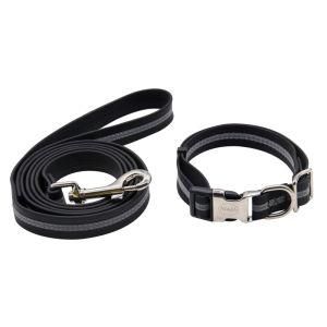 PVC Dog Leash and Collar Set