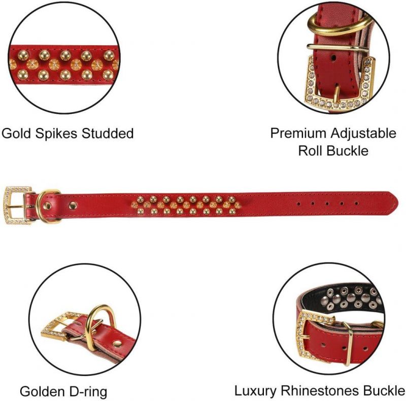 Gold Spikes Studded Personalized Collar