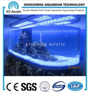 Wholesale Saltwater Aquarium Supplies/Transparent Acrylic
