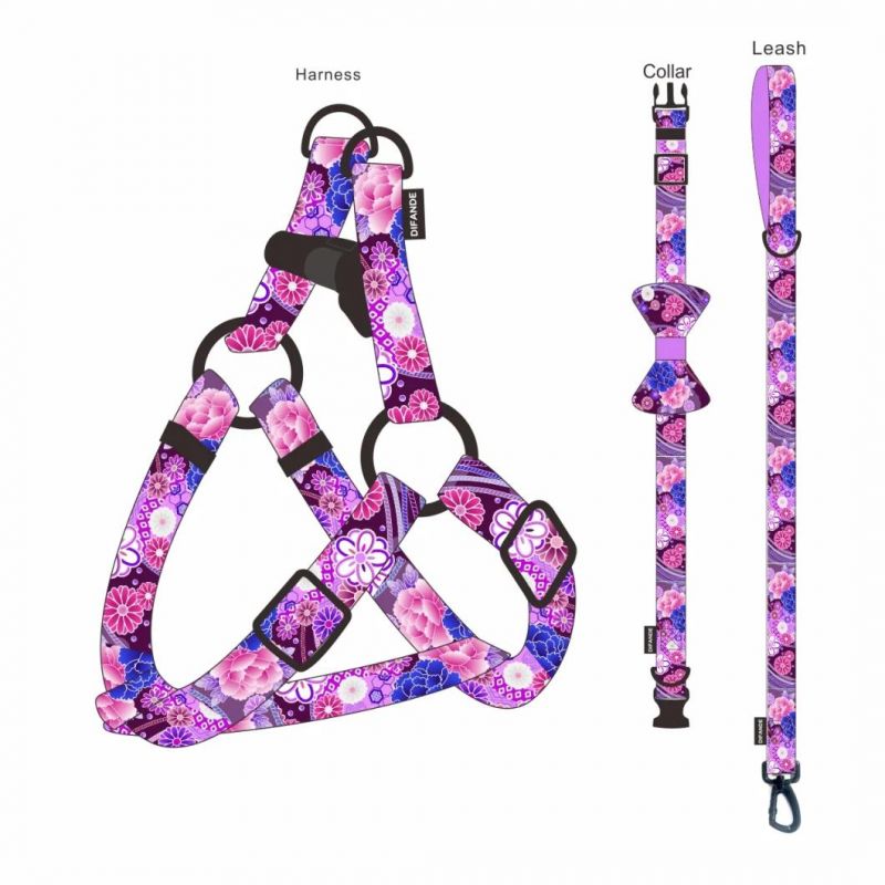 Custom Fashion Adjustable Pet Collar and Leash Harness Heat Transfer Sublimation Logo Printed Dog Collar Leash Set
