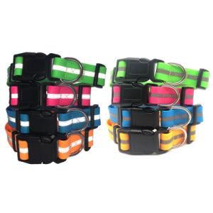 Plain PVC Coated Nylon Dog Cat Collars Pet Product