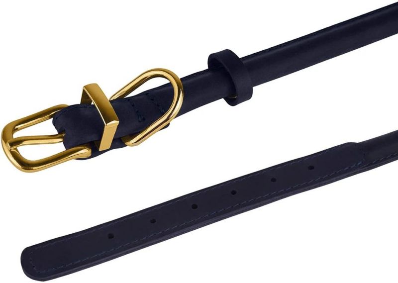 Rolled Collars Suitable for Long Haired Dog Breeds