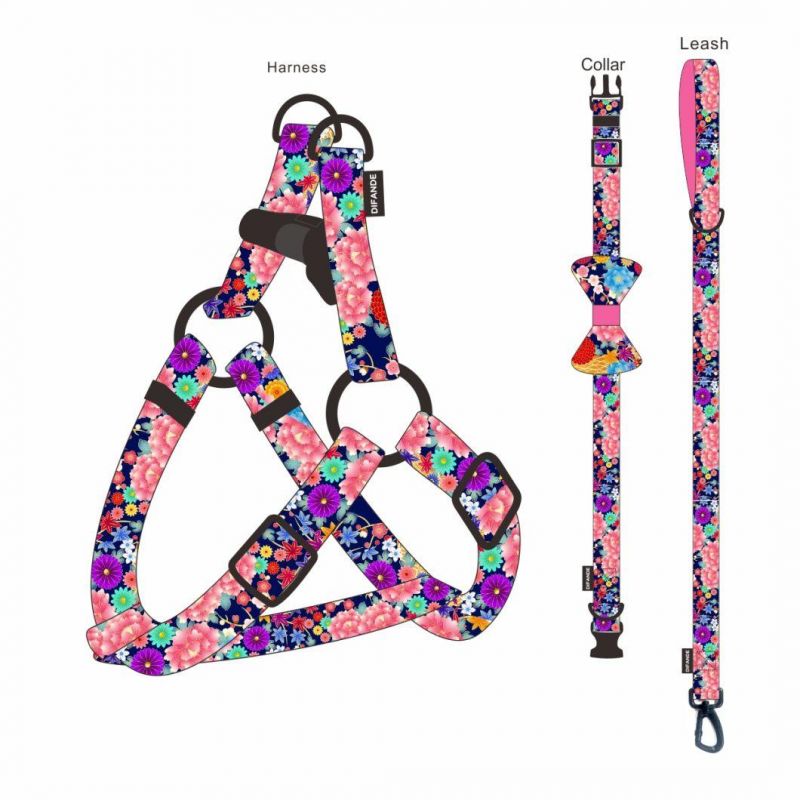 Luxury Accessories for Dogs Cats Nylon Adjustable Buckle Dog Collar and Leash Set