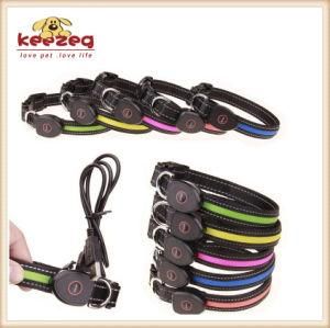 USB Rechargeable LED Pet Dog Collars /Environmental Standard (KC0087)