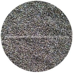 Hemp Seeds High Quality for Exporting