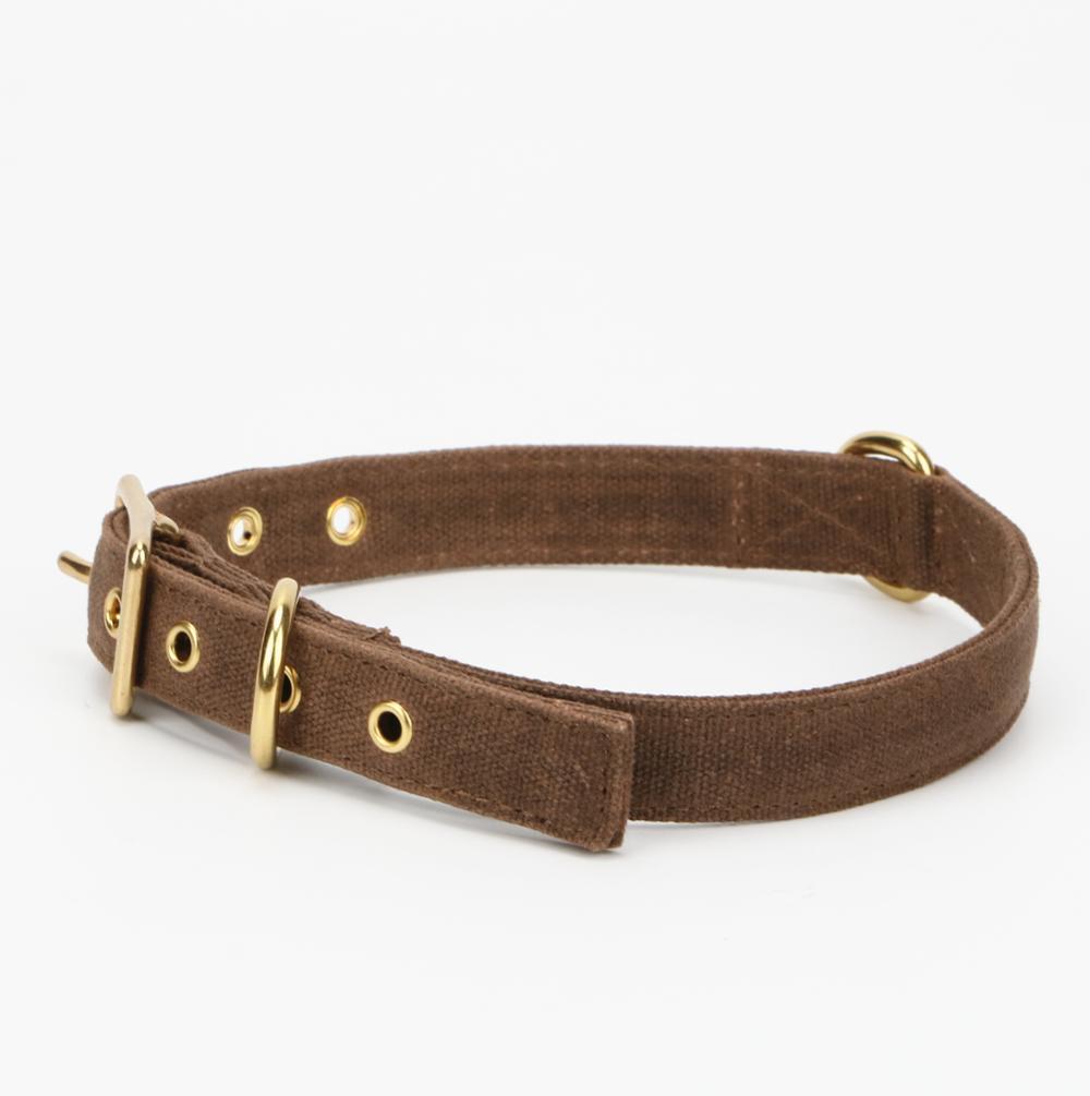 Dark Brown Canvas Waxed Dog Collar with Brass Metal