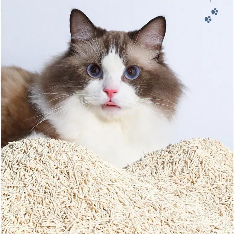 Food Grade Pet Tofu Cat Litter Soluble in Water Quickly Absorb Water Custom