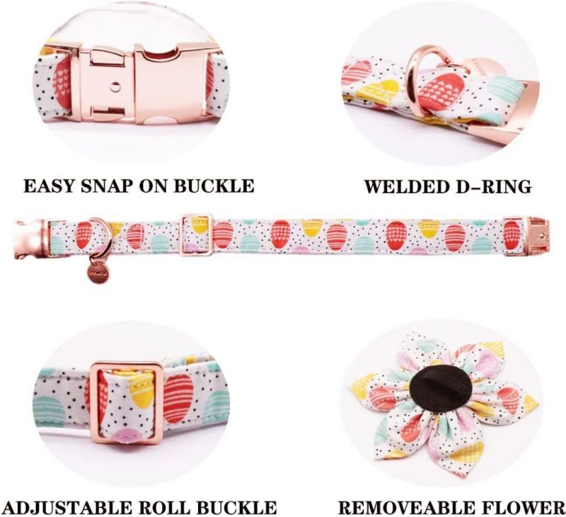 2022 Customized Design Pet Dog Collar Dog Leash Dog Collar and Leash Set Pet Dog Collar and Leash with Metal Buckle