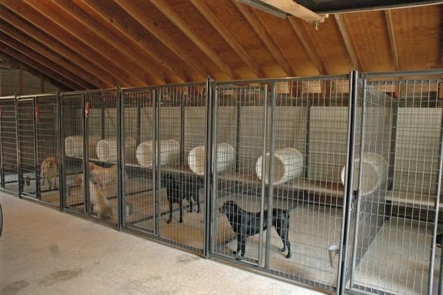 Warehouse Storage Galvanized Metal Welded Dog Kennel Run.