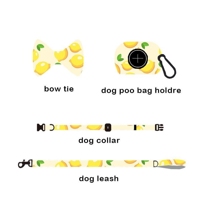 Lowest Price High Quality Dog Collar Set Pet Suppliers