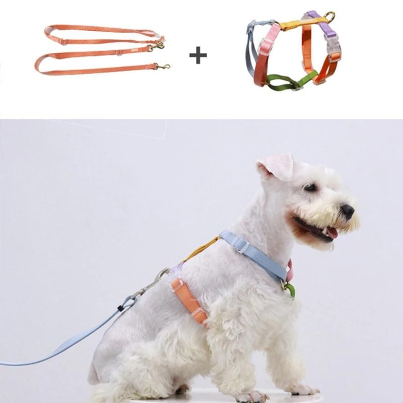 New Arrival Multifunctional Hand Free Double Traction Dog Leash Pet Supplier Custom Logo Macaron Color Personalized Lead Dog