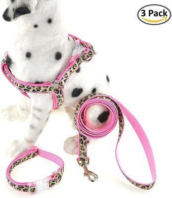 Factory Wholesale Cool Patterns for Dog Collar, Leash, Harness Sets